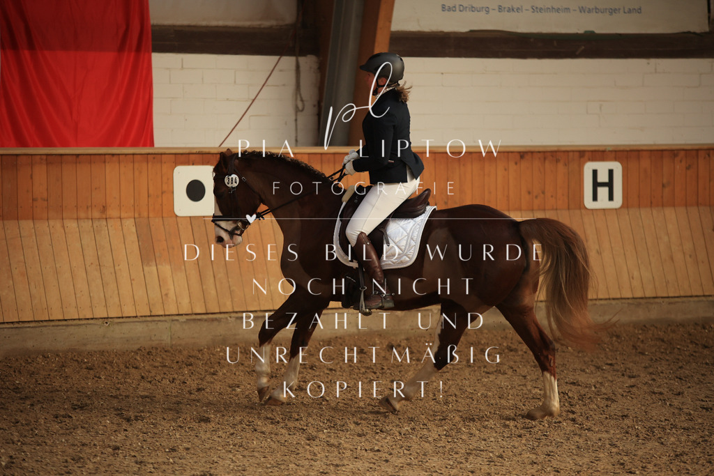 IMGT4343 | pl-fotografie