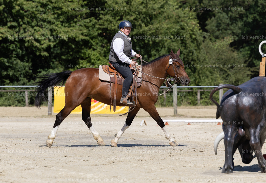 WE_Trail_107_KerstinBernhardt-2 | working equitationturnier fotograf videograf stoibphotography marixx film working equitation deutschland reitsport turnierfotografie eventfotografie equestrian events