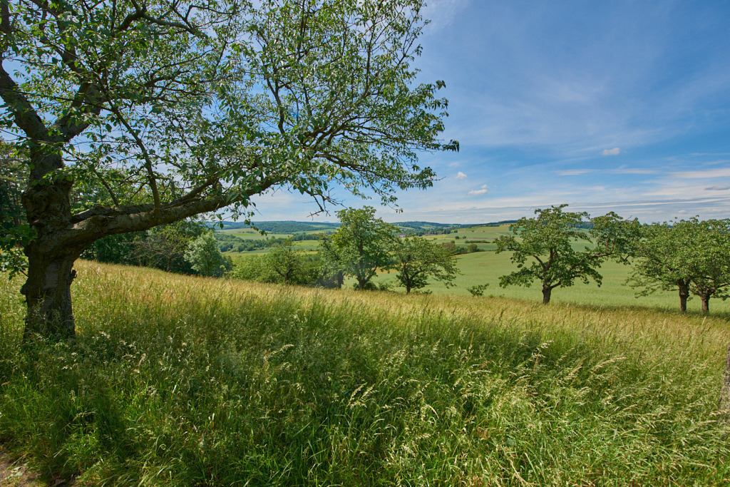 Auf dem Kanitzberg bei Burkhardswalde 06 | Bedeutsame Landschaften Deutschlands - Realisiert mit Pictrs.com
