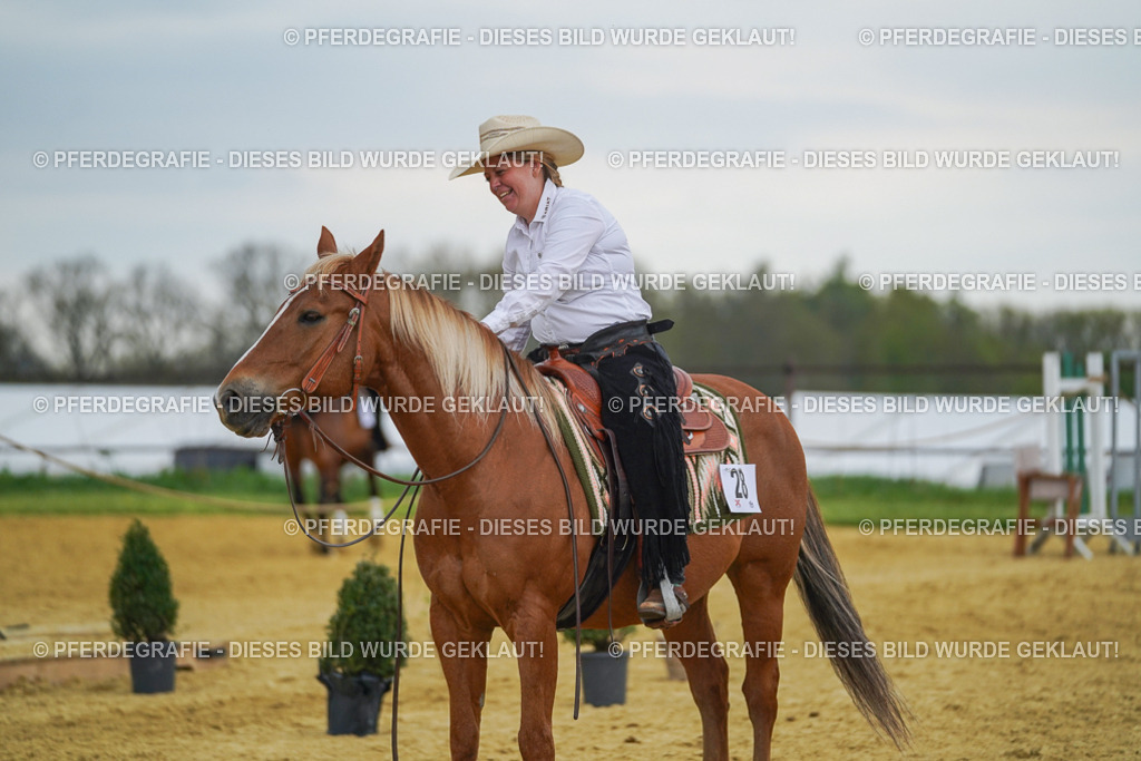 DSC08318 | Pferdegrafie