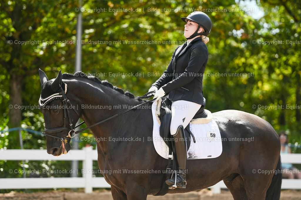20230715_07_Dressurpferdeprfg. Kl.L_0158 | equistock
