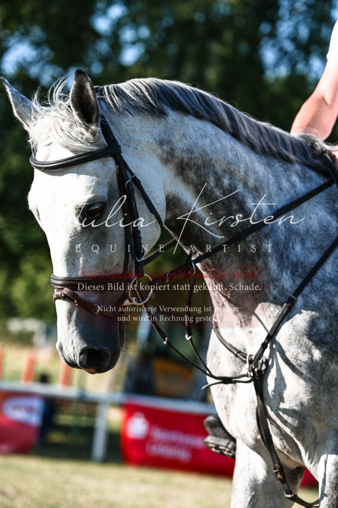 DSC_3143 | Pferde- und Turnierfotografie in Westsachsen. Pferdeportraits, Auftragszeichnungen und intuitive Kunst.