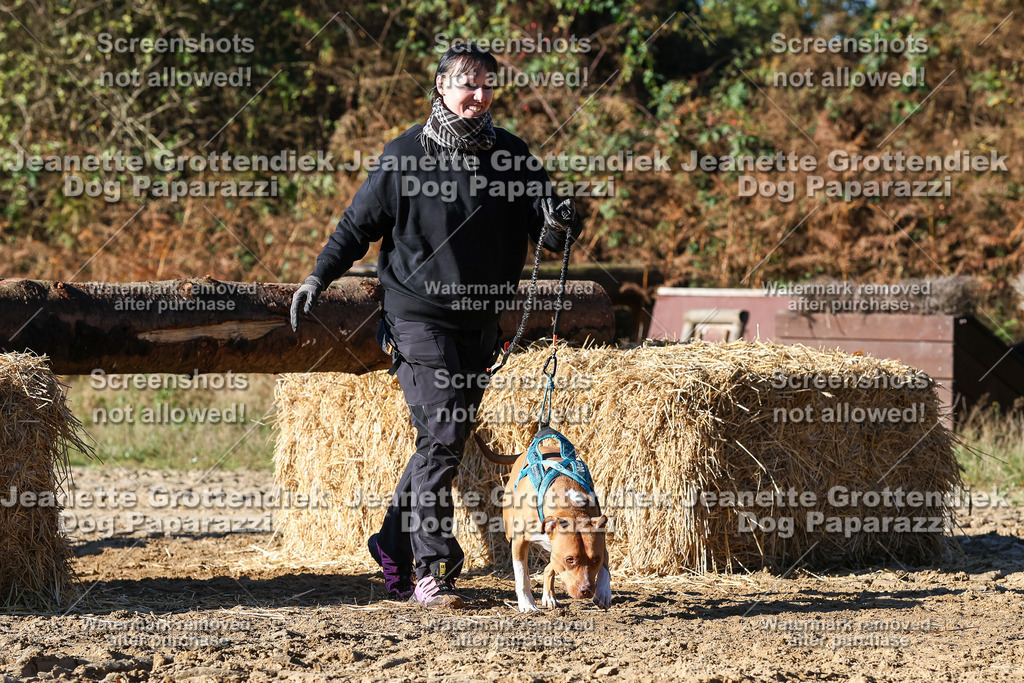 Dog Paparazzi - Strongdog 10-25-2084 | Dog Paparazzi Jeanette Grottendiek Fotografie & Videografie - Realisiert mit Pictrs.com