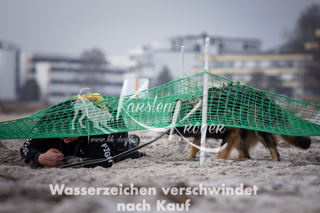 1132_ZZ99374 | kk-dogfotos