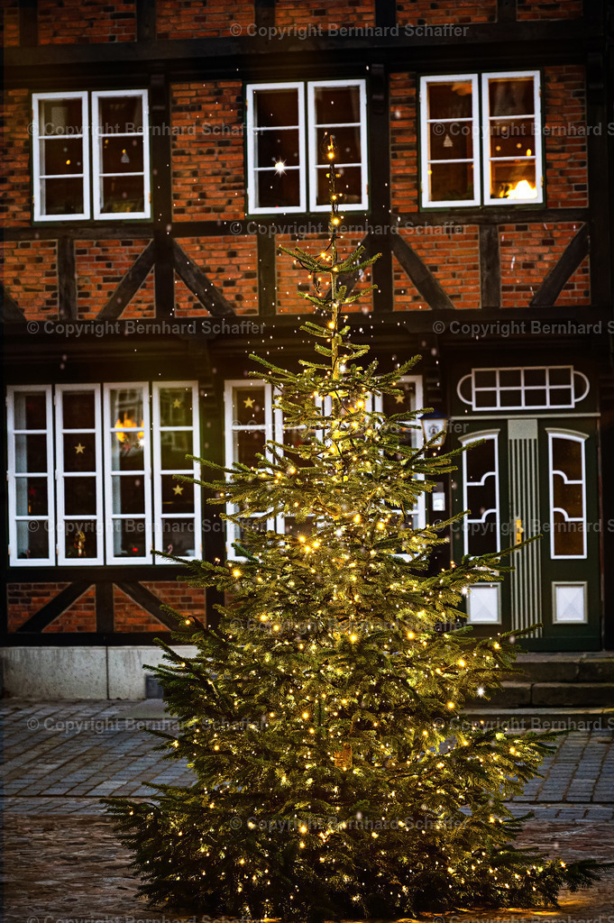 Weihnachtsbaum vor Fachwerkhaus | Ein Weihnachtsbaum steht mit Lichtern abends vor einem alten Fachwerkhaus.  - Realisiert mit Pictrs.com