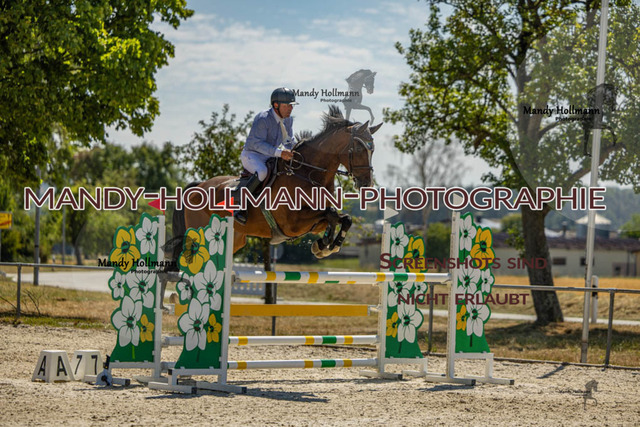 26-7-24 SPF M+-1012 | mandyhollmannphotographie