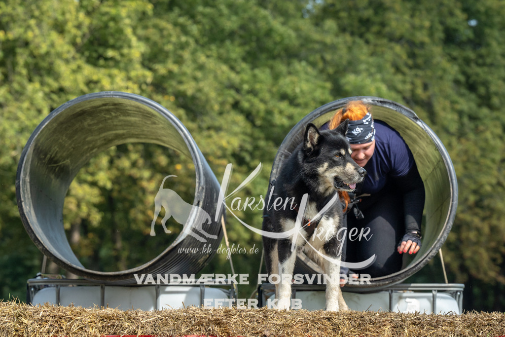 1400_ZZ90182 | kk-dogfotos