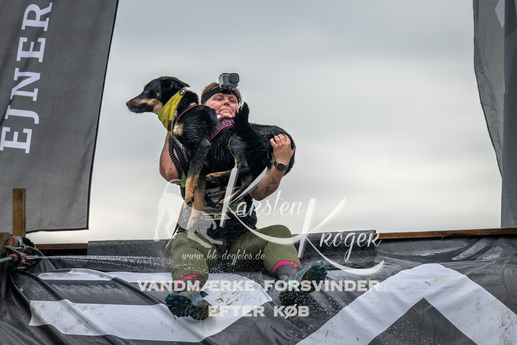 1339_ZZ92855 | kk-dogfotos