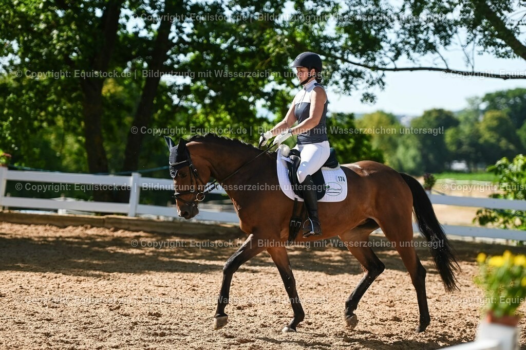 20230715_06_Dressurpferdeprfg. Kl.A_0396 | equistock