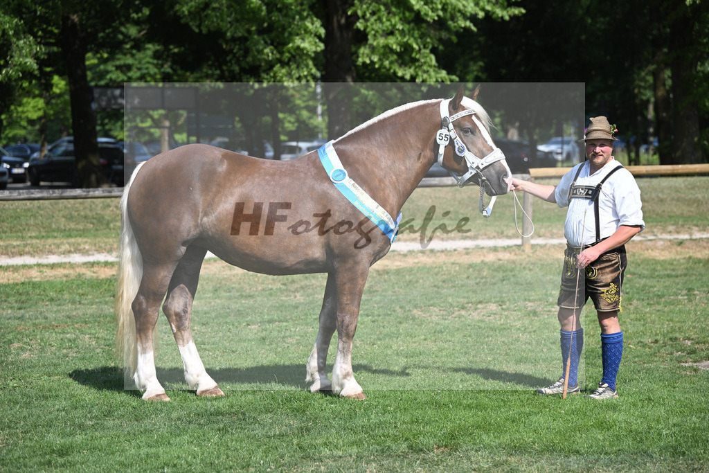 Kat-Nr. 55 Esmiralda_Gilg_20231668 | hf-fotografie - Realisiert mit Pictrs.com