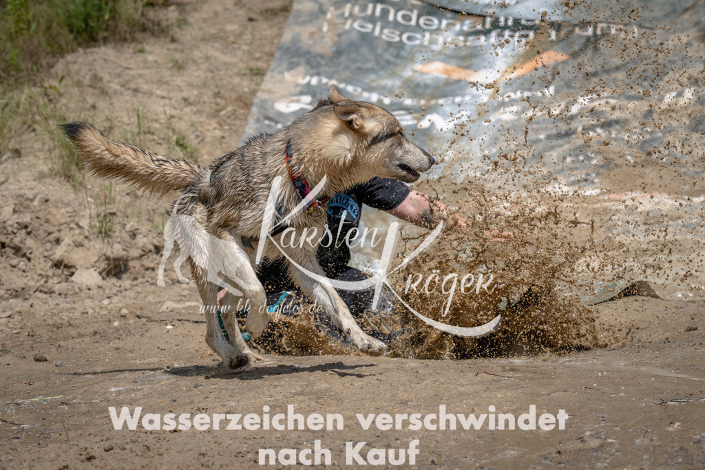 1415_ZZ94084 | kk-dogfotos