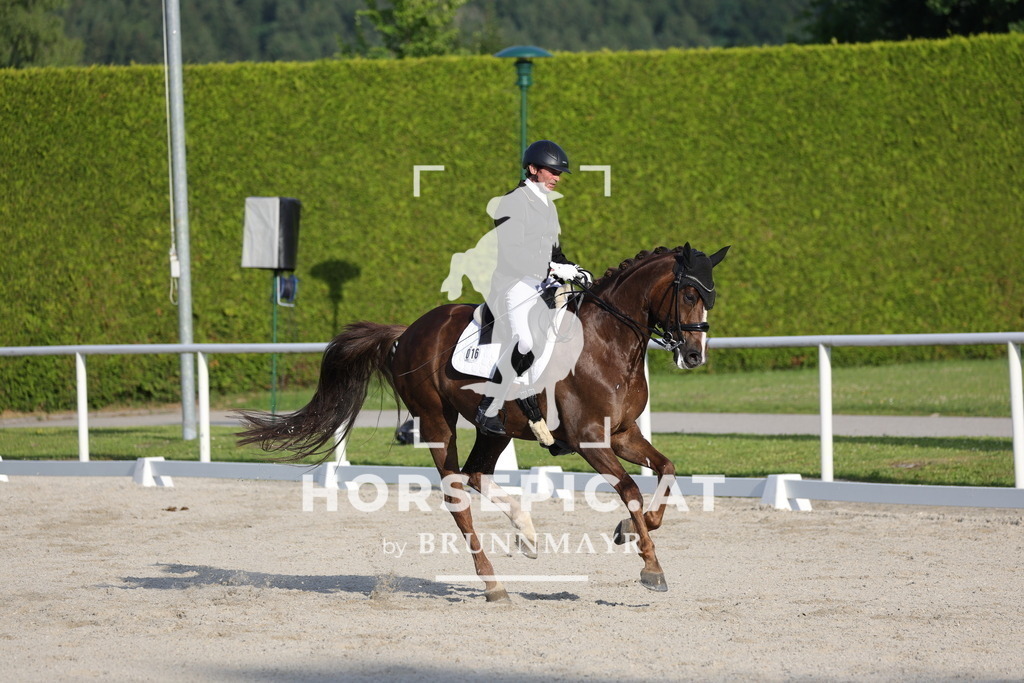0P6A4121 | Willkommen bei Brunnmayr - Design & Fotografie – Ihrem Spezialisten für Reitturniere und Pferdeveranstaltungen in Oberösterreich, Salzburg und Bayern! Seit über 17 Jahren sind wir leidenschaftlich dabei.