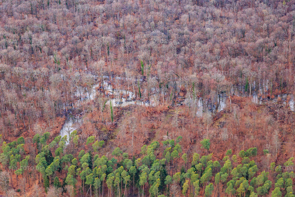 Luftbild: Otterbachschleifen im Bienwald in Wörth am Rhein im Bundesland Rheinland-Pfalz in Deutschland. Foto: IMG_124274.jpg vom 04.02.2021 durch Werner Riehm/FLY-FOTO.de