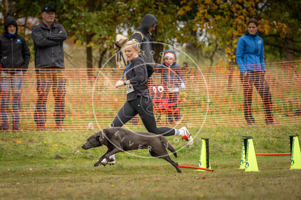 Pfotenfotografie_DV3A4328 | Hundefotografie, Tierfotograf, Pfotenfotografie, Fotoshooting Hund, Hunde Portrait, Hundesport, Hundeportraits, Heideshooting, Hunde, Sportfotograf, Hundefotograf, Turnierhundsport, THS,  - Realisiert mit Pictrs.com