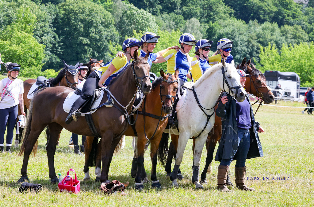 1B3A5062 | Reitsport Reiten