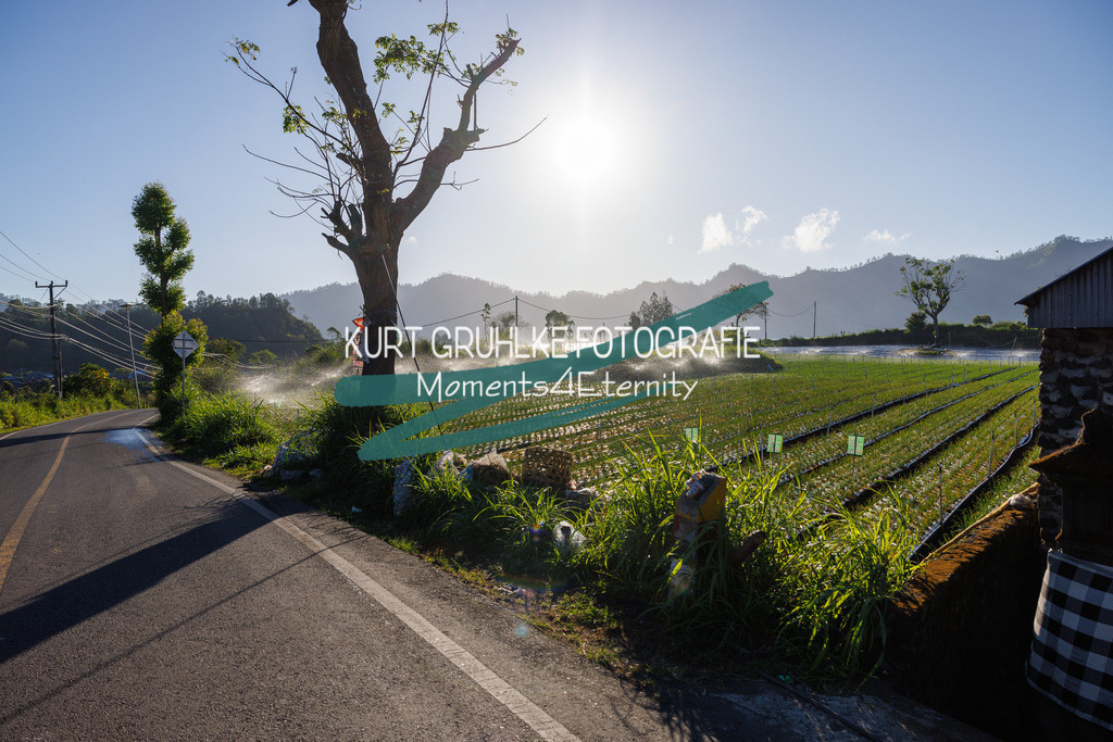 230719-0792 - Kopie | onlinegalerie und Fotoshop Kurt Gruhlke Fotograf Berlin
Hochzeitsfotograf Eventfotograf Portraitfotografie
 - Realisiert mit Pictrs.com