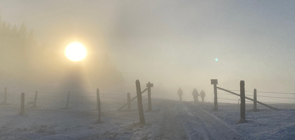 Nebel | BILDER AN DIE WAND                                                verschönern sie ihr Büro, ihre Praxis oder ihre viel Wände zu Haus  - Realisiert mit Pictrs.com