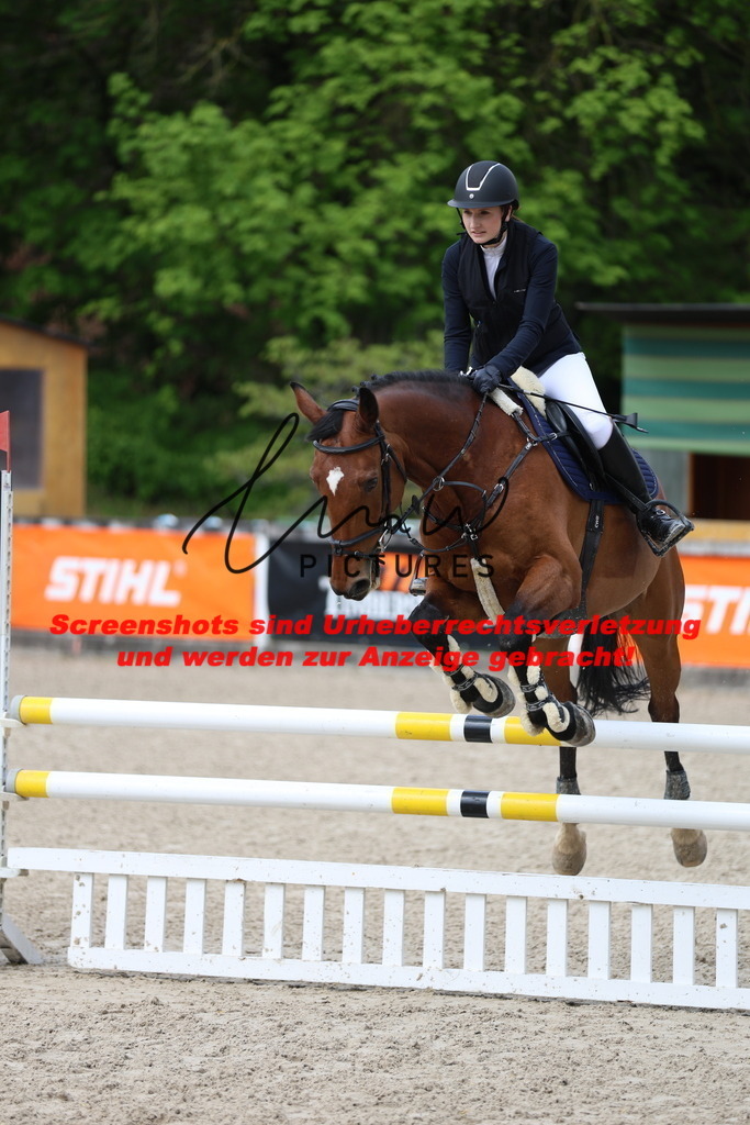 A40A1836 | lmwpictures - Realisiert mit Pictrs.com