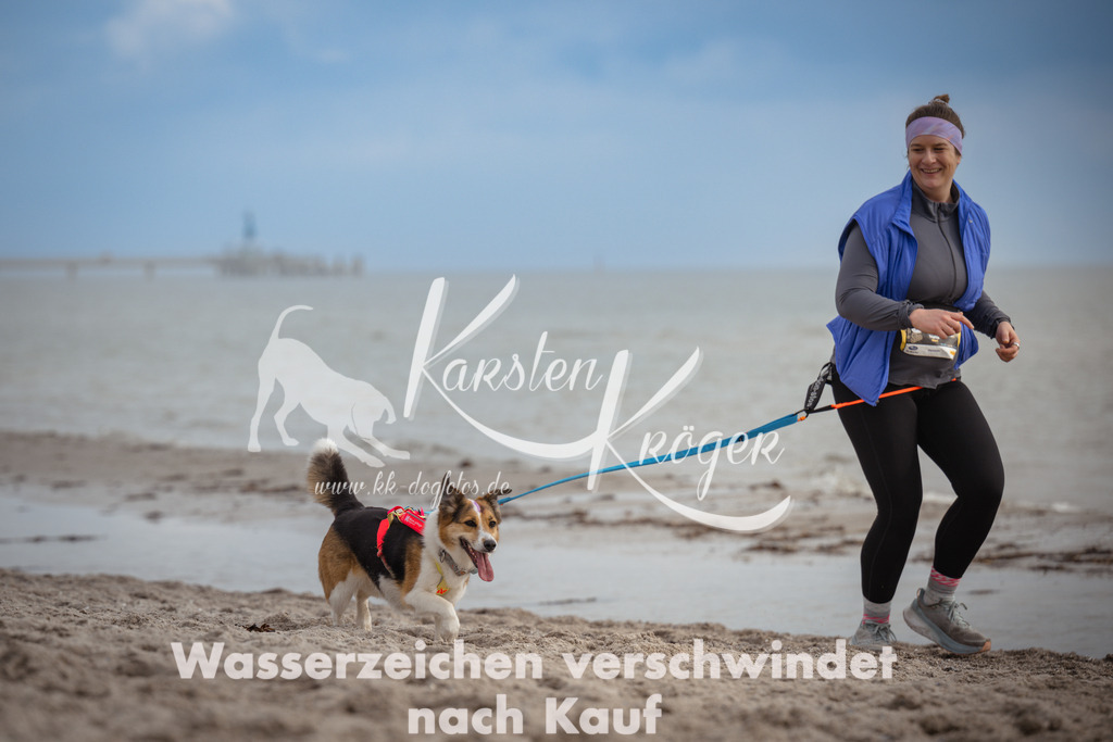 1218_ZZ96171 | kk-dogfotos