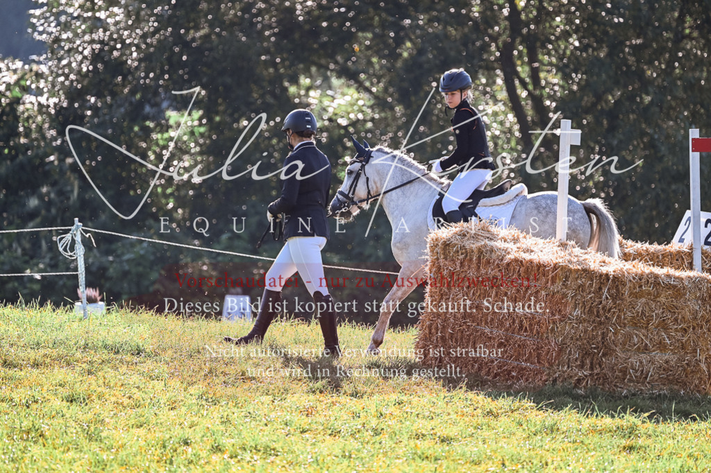 DSC_0429 | Pferde- und Turnierfotografie in Westsachsen. Pferdeportraits, Auftragszeichnungen und intuitive Kunst.