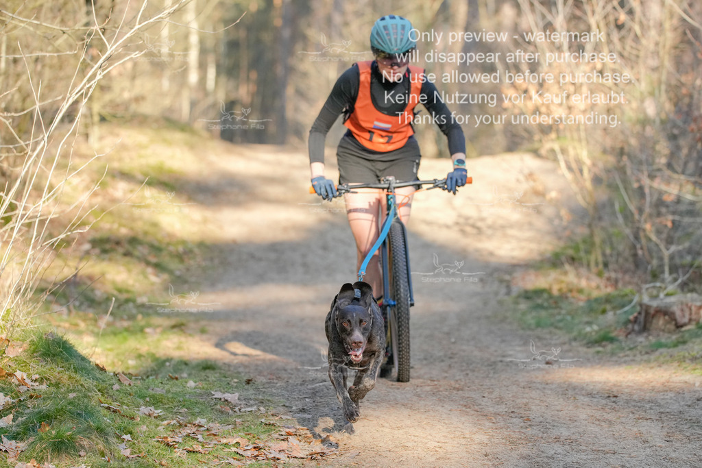 Sa_Scooter-86 | stephaniefillaphotographie - Realisiert mit Pictrs.com