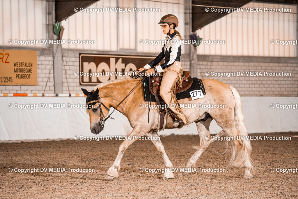 ZH100175 | dv-media-shop - Realisiert mit Pictrs.com