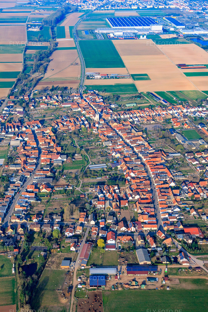 Luftbild: Lange Straße in Ottersheim bei Landau im Bundesland Rheinland-Pfalz in Deutschland. Foto: IMG_49340.jpg vom 28.03.2012 durch Werner Riehm/FLY-FOTO.de