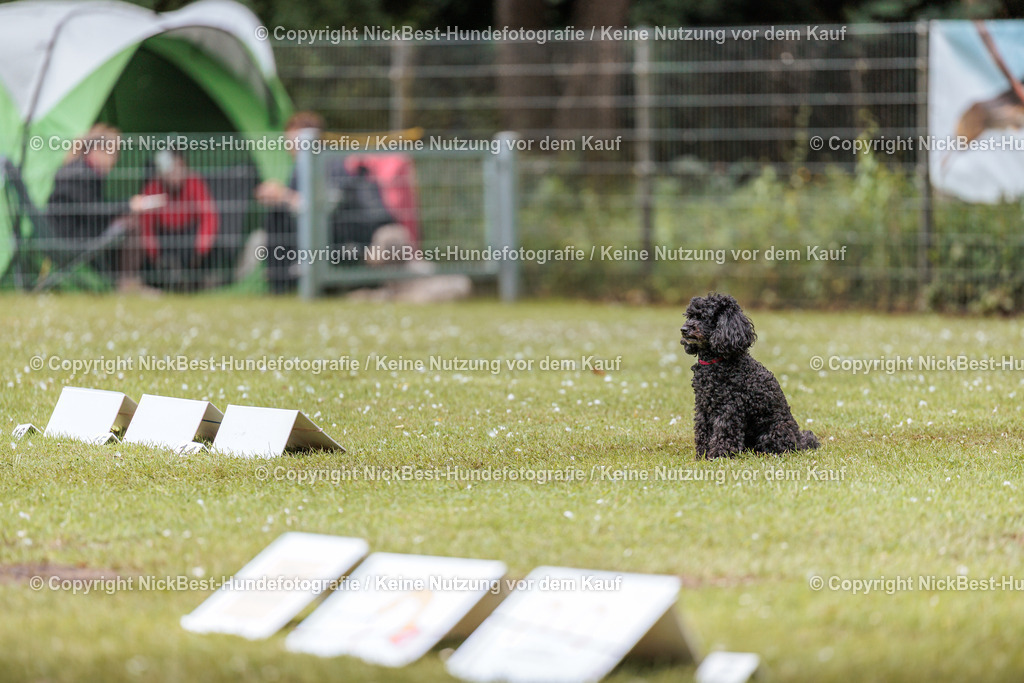 RO-Blumenthal-2026-Nickbest-Hundefotografie-3205 | Dein Hund! Dein Moment! Deine Erinnerungen! Hundefotografie in Bremen Blumenthal. Ich fange die besonderen Momente deines Vierbeiners ein – ob Indoor mit Blitzanlage oder in der freien Natur. Sicher dir dein Moment und dein Termin für eure Erinnerungen.