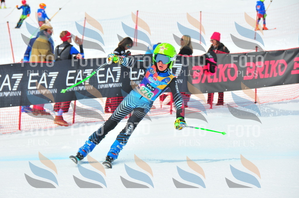 DSC_2569 | holidayphoto