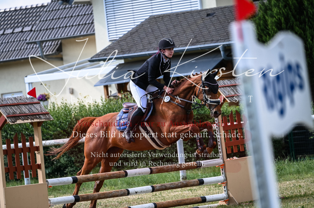 DSC_7836 | Pferde- und Turnierfotografie in Westsachsen. Pferdeportraits, Auftragszeichnungen und intuitive Kunst.