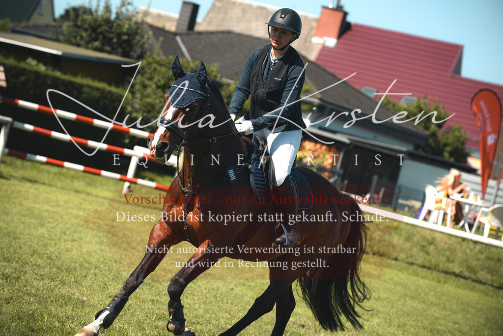 DSC_9386 | Pferde- und Turnierfotografie in Westsachsen. Pferdeportraits, Auftragszeichnungen und intuitive Kunst.