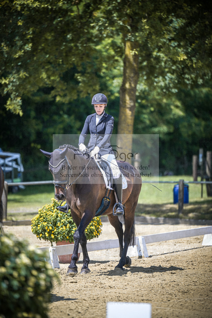 DOS_4235 | Entdecke hochwertige Reitturnierfotos von Foto Oger. Professionell, emotional und authentisch – jetzt Lieblingsmomente im Shop bestellen.Deutschlandweite Turnierfotografie. - Realisiert mit Pictrs.com