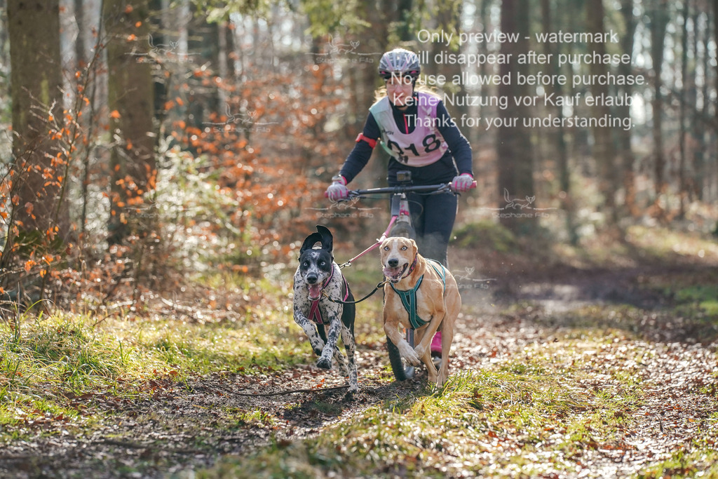 So_Scooter_2-20 | stephaniefillaphotographie - Realisiert mit Pictrs.com