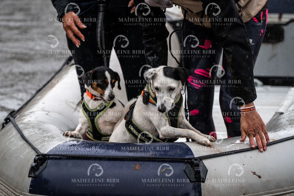 madeleinebirr-fotografie2025.campcanis.11-12Uhr-206 | hundefotografie-birr