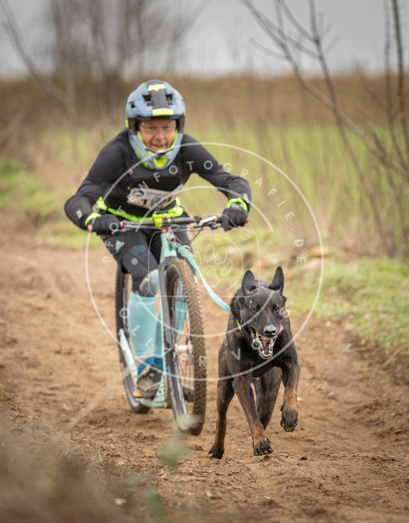 DV3A1346 | Hundefotografie, Tierfotograf, Pfotenfotografie, Fotoshooting Hund, Hunde Portrait, Hundesport, Hundeportraits, Heideshooting, Hunde, Sportfotograf, Hundefotograf, Turnierhundsport, THS,  - Realisiert mit Pictrs.com