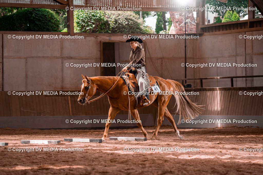 NE100605 | dv-media-shop - Realisiert mit Pictrs.com