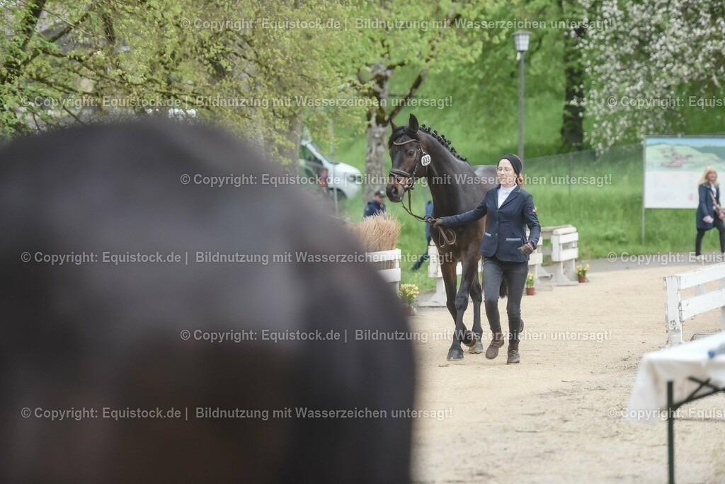 20230514_Impressionen_0085 | equistock