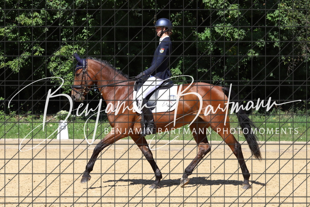 IMG_6460 | Benjamin Bartmann Photomoments