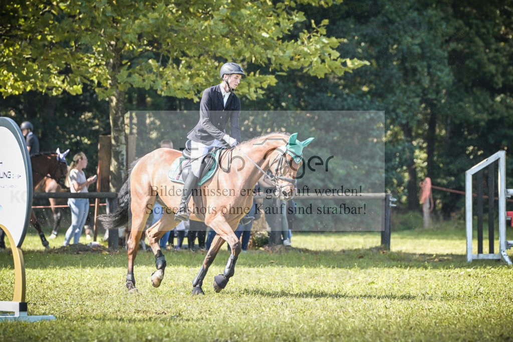 DOS_0289 | Entdecke hochwertige Reitturnierfotos von Foto Oger. Professionell, emotional und authentisch – jetzt Lieblingsmomente im Shop bestellen.Deutschlandweite Turnierfotografie. - Realisiert mit Pictrs.com