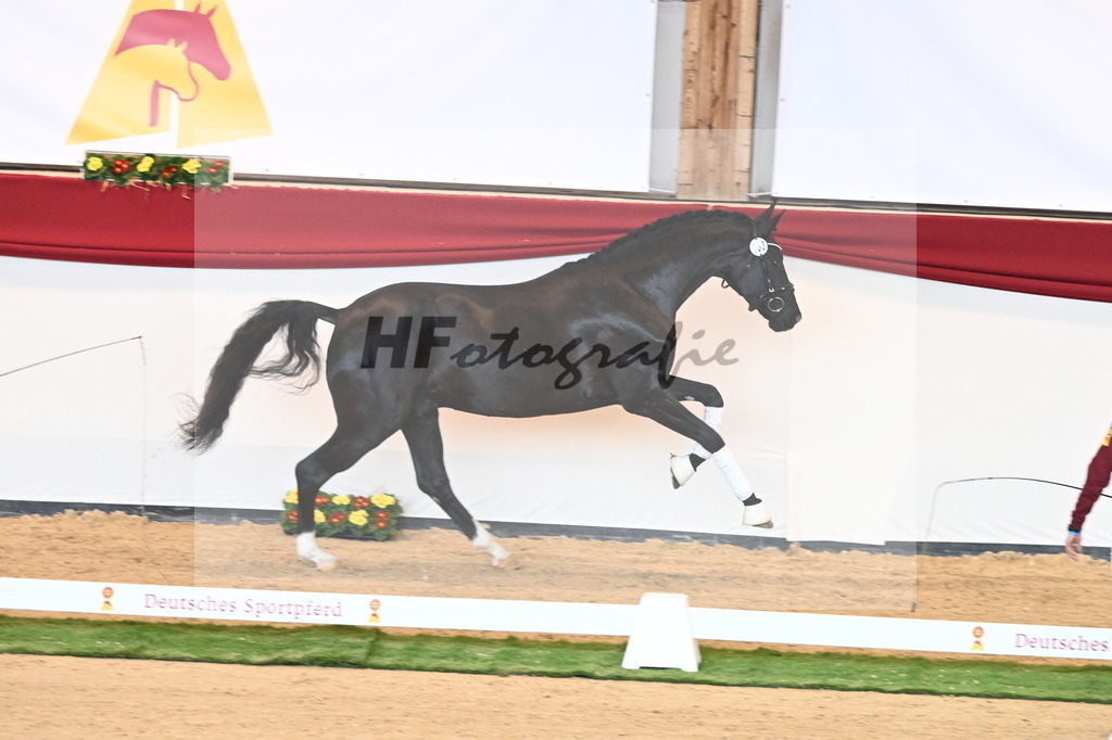 Kat.-Nr. 53 v. Fürst Belissaro_Casper_2240634 | hf-fotografie - Realisiert mit Pictrs.com