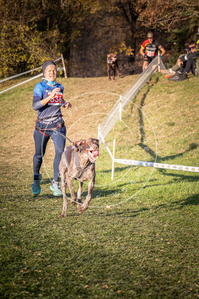 CaniXpix_0L8A0646 | Hundefotografie, Tierfotograf, Pfotenfotografie, Fotoshooting Hund, Hunde Portrait, Hundesport, Hundeportraits, Heideshooting, Hunde, Sportfotograf, Hundefotograf, Turnierhundsport, THS,  - Realisiert mit Pictrs.com