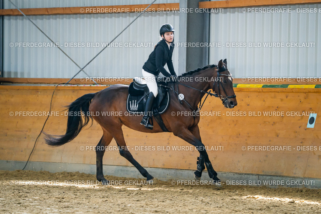 DSC01759 | Pferdegrafie