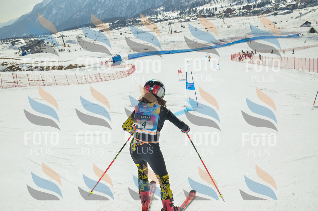 _ELE4407 | holidayphoto