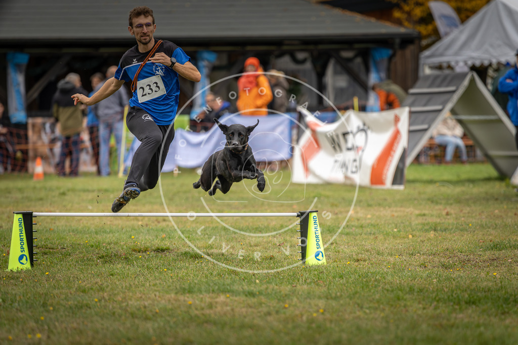 Pfotenfotografie_DV3A4832 | Hundefotografie, Tierfotograf, Pfotenfotografie, Fotoshooting Hund, Hunde Portrait, Hundesport, Hundeportraits, Heideshooting, Hunde, Sportfotograf, Hundefotograf, Turnierhundsport, THS,  - Realisiert mit Pictrs.com