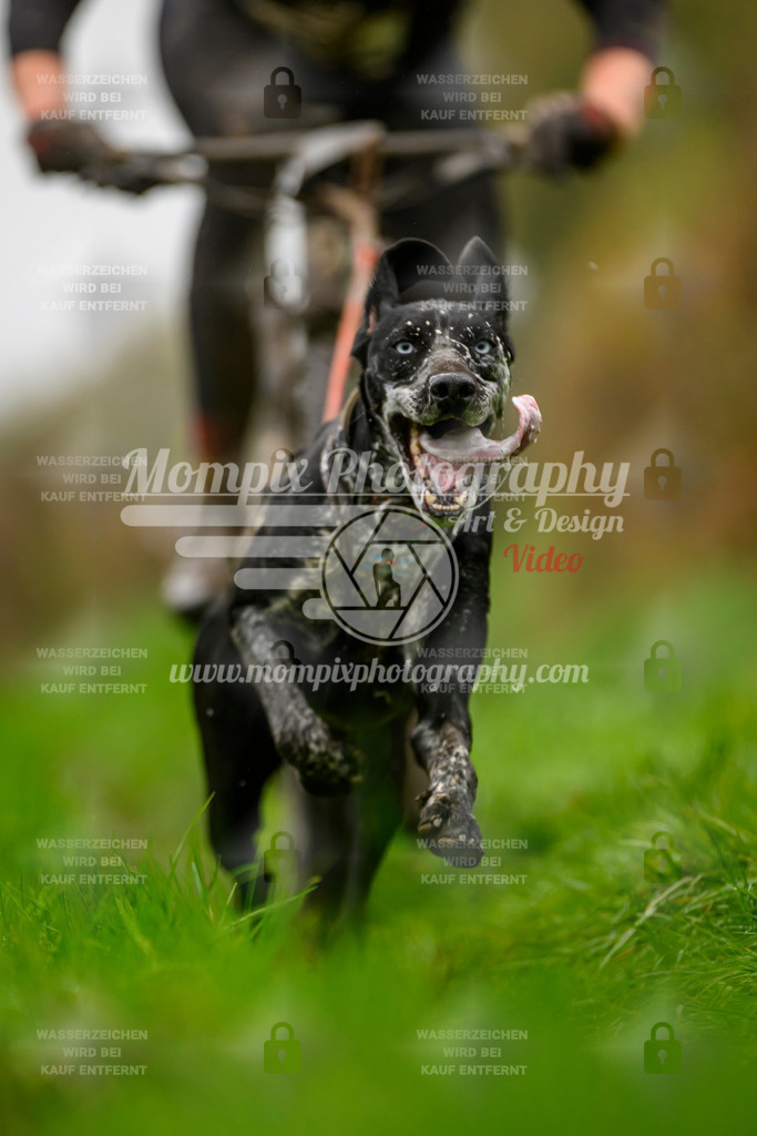 MompixPhotography_20TSB_E8_Bike-37 | PayLife