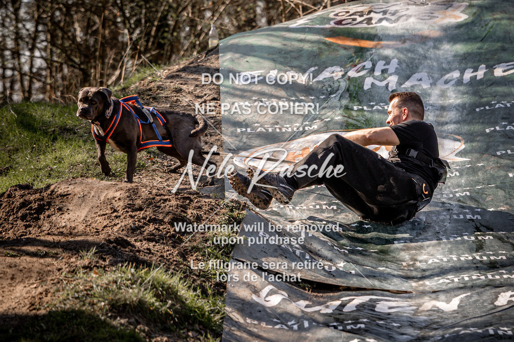 nelerasche_Hulsbeek_So1300-1330_14 | nelerasche