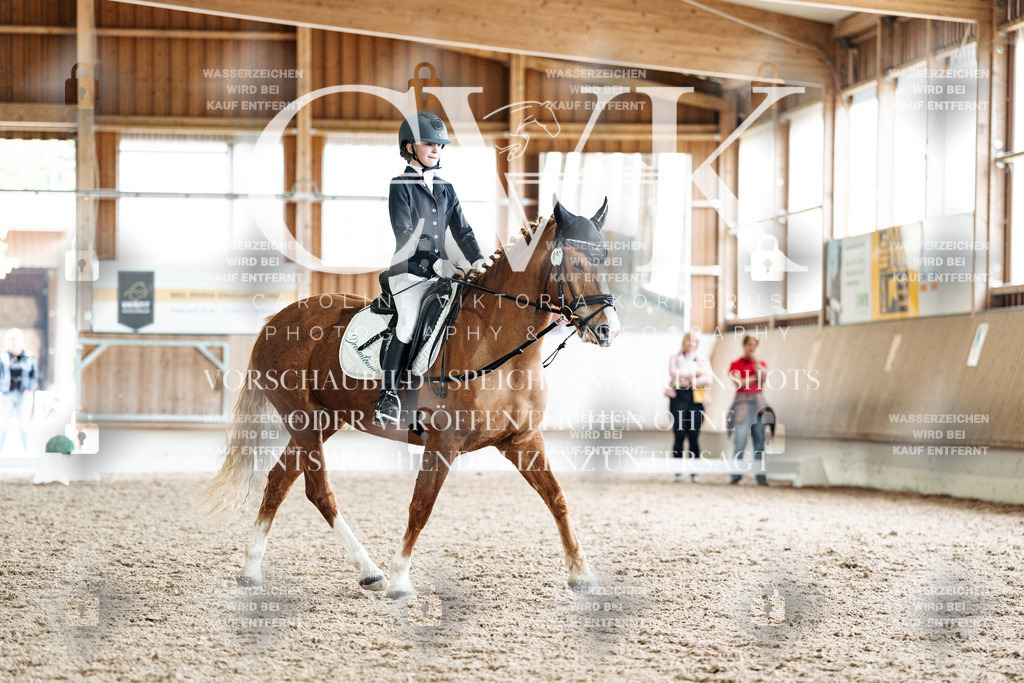 CK900792 | Turnierfotografie Pferdefotografie Trier Rheinland-Pfalz Pferdesport Reitsport Tierfotografie Sportfotografie Pferdevideo Pferdevideografie Equestrianvideography equestrianphotography  - Realisiert mit Pictrs.com