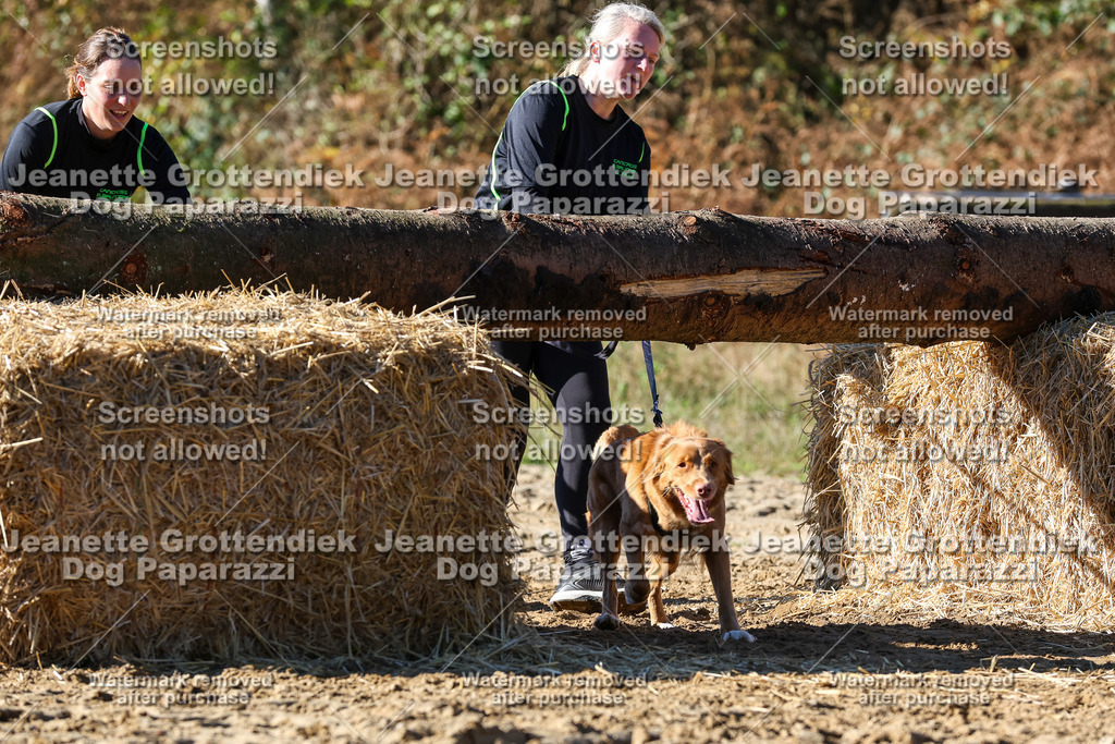 Dog Paparazzi - Strongdog 10-25-2670 | Dog Paparazzi Jeanette Grottendiek Fotografie & Videografie - Realisiert mit Pictrs.com