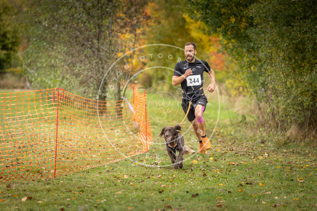 Pfotenfotografie_DV3A4254 | Hundefotografie, Tierfotograf, Pfotenfotografie, Fotoshooting Hund, Hunde Portrait, Hundesport, Hundeportraits, Heideshooting, Hunde, Sportfotograf, Hundefotograf, Turnierhundsport, THS,  - Realisiert mit Pictrs.com