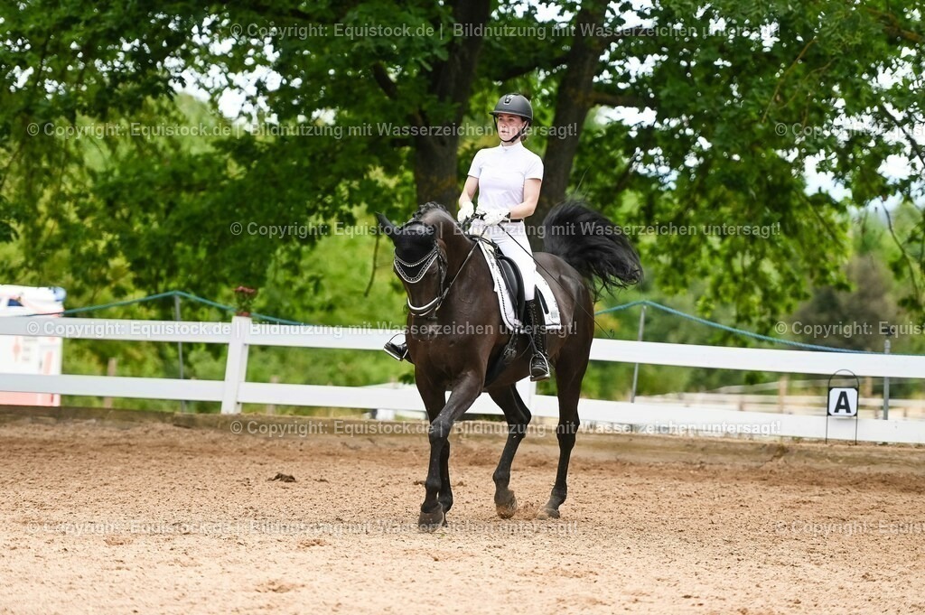 20230715_05_Dressurprüfung Kl.A++_0299 | equistock